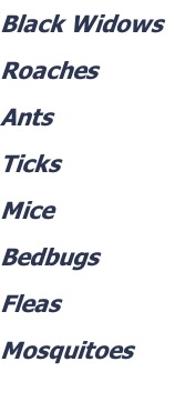 Black Widows Roaches Ants Ticks Mice Bedbugs Fleas Mosquitoes